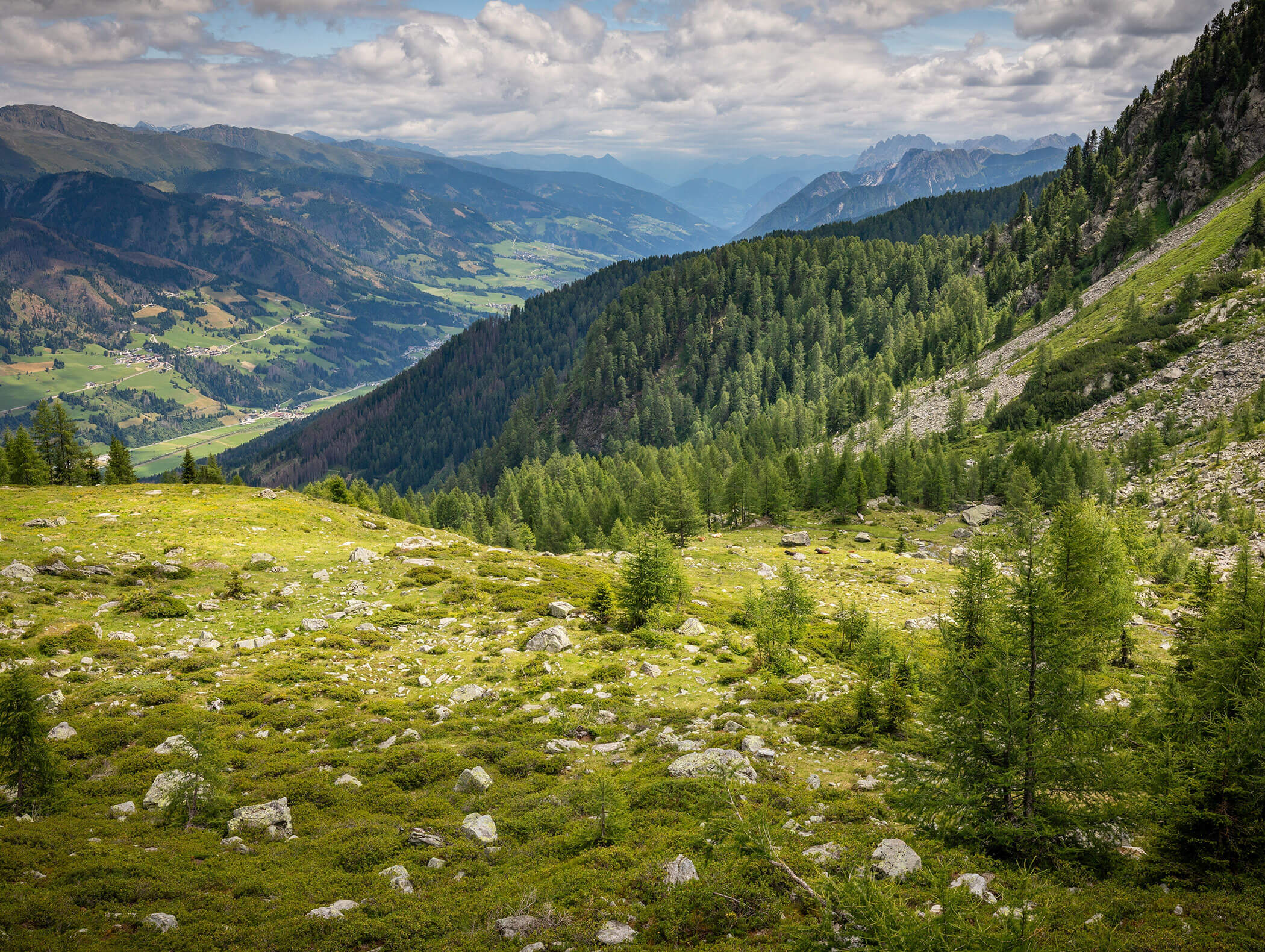 Grünes Tal und bewaldete Berge unter einem wolkenverhangenen Himmel mit fernen Hügeln, die am Horizont verschwinden. - AMIL chalets dolomites