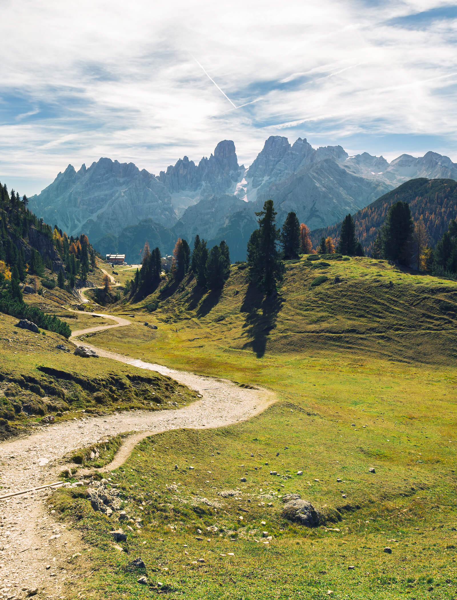 Ein sich schlängelnder Feldweg durch grüne Hügel mit hohen Bäumen, der unter einem wolkenverhangenen Himmel zu den fernen, schroffen Bergen führt. - AMIL chalets dolomites